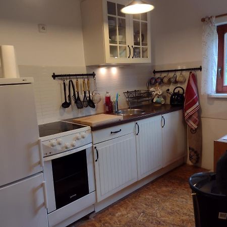 Chata Dvirka Zelezny Brod Extérieur photo