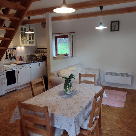 Chata Dvirka Zelezny Brod Extérieur photo