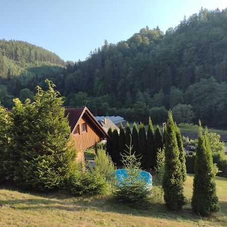 Chata Dvirka Zelezny Brod Extérieur photo
