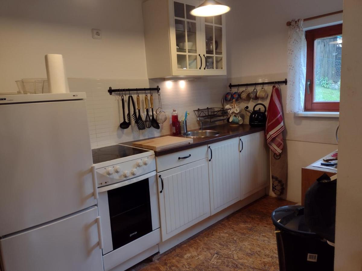 Chata Dvirka Zelezny Brod Extérieur photo