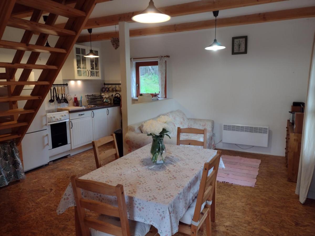 Chata Dvirka Zelezny Brod Extérieur photo