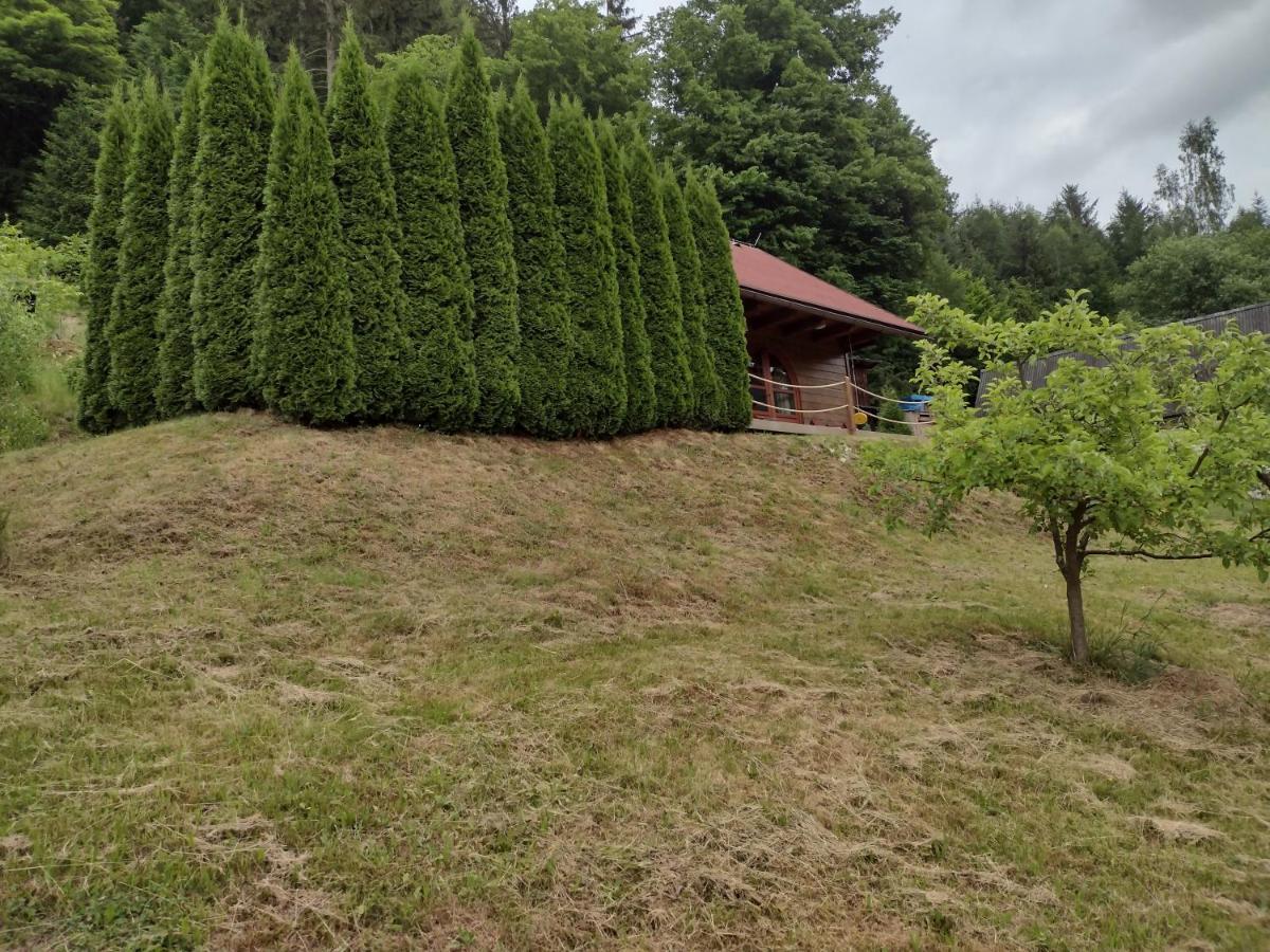 Chata Dvirka Zelezny Brod Extérieur photo