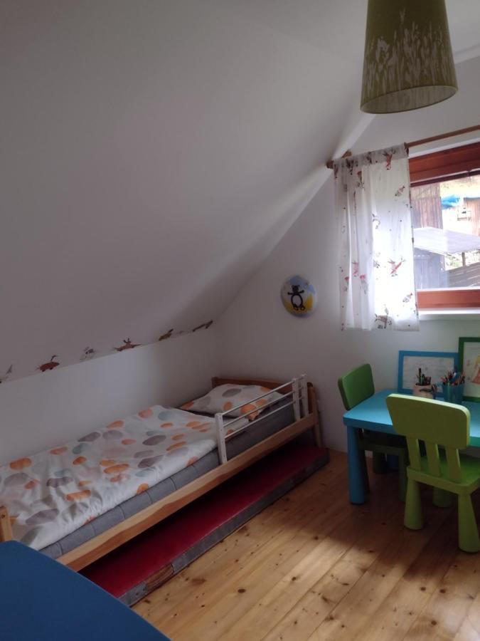Chata Dvirka Zelezny Brod Extérieur photo
