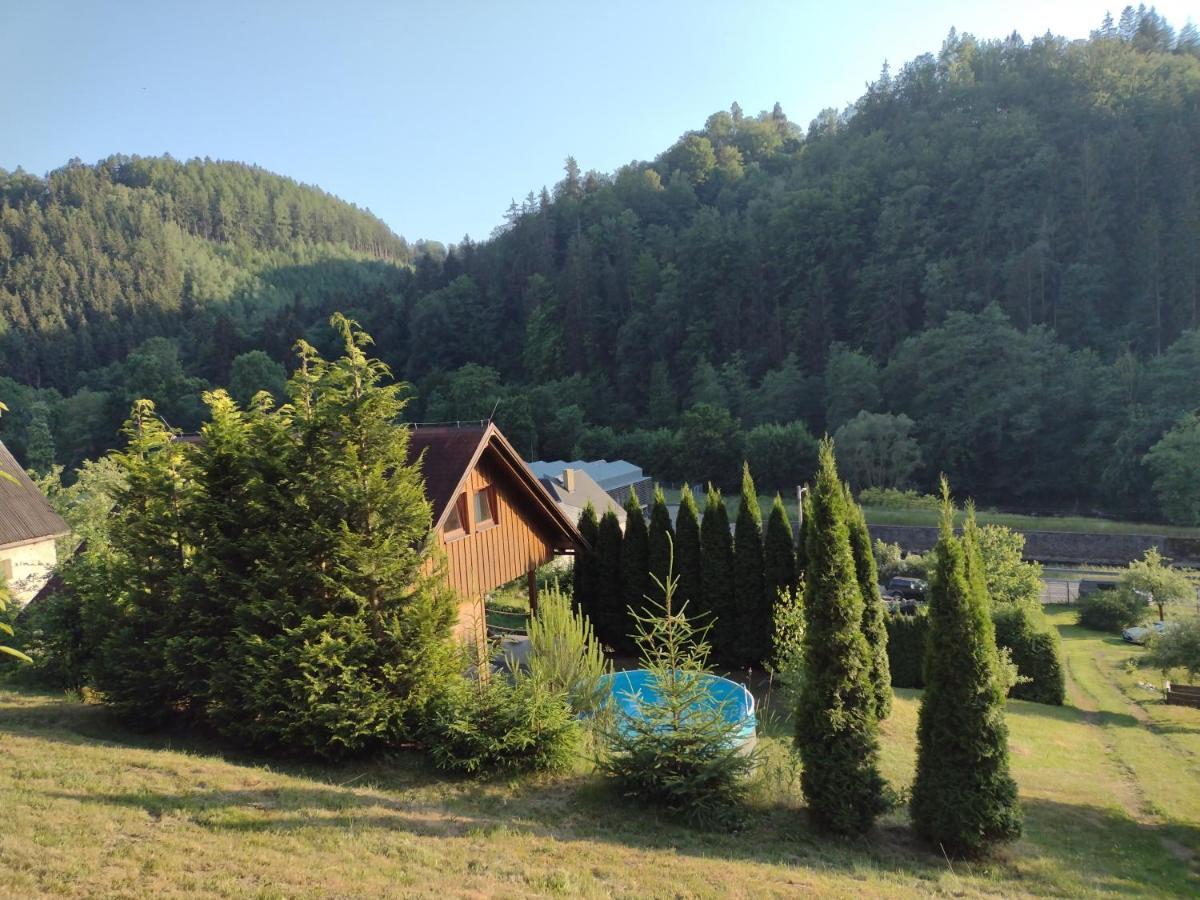 Chata Dvirka Zelezny Brod Extérieur photo